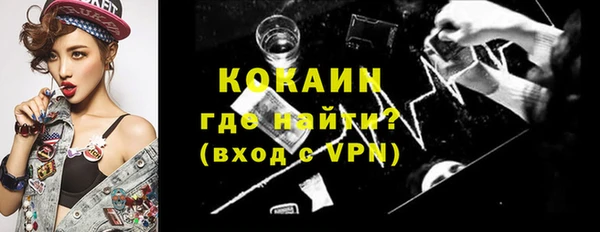 дмт Тавда