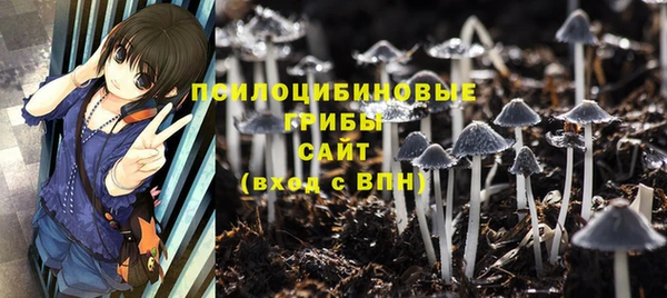 гашиш Сясьстрой