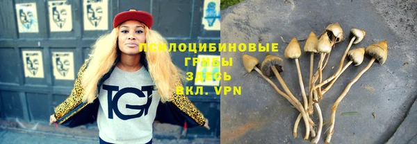 apvp Верхний Тагил