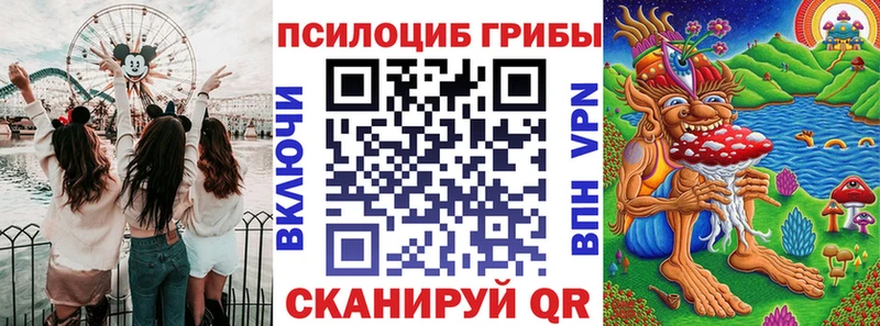 Псилоцибиновые грибы GOLDEN TEACHER  где найти   kraken   Вышний Волочёк 